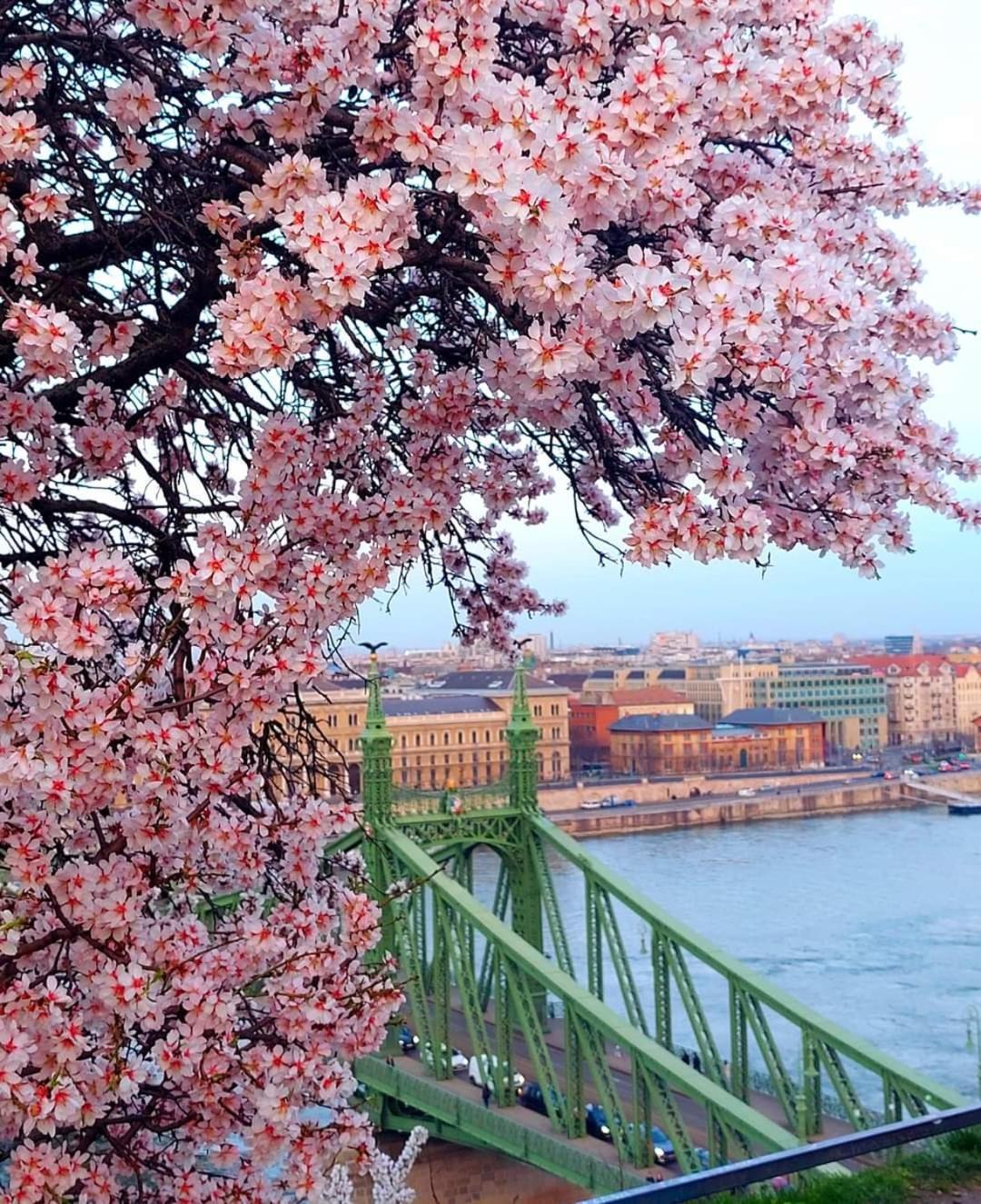Pannonia Budapest Center Deluxe エクステリア 写真